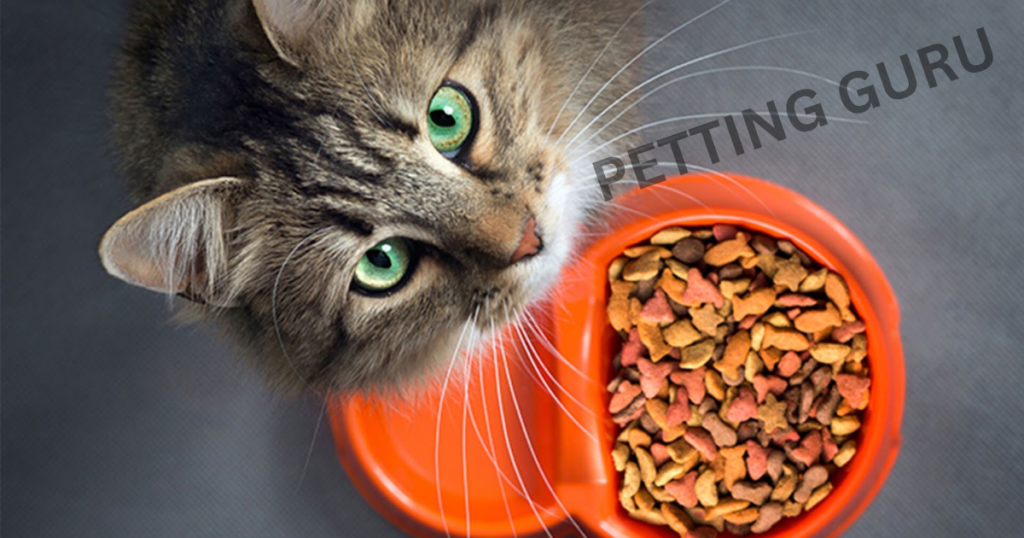 Unveiling the Culinary Craftsmen Behind Abound Cat Food: A Close Look at the Makers