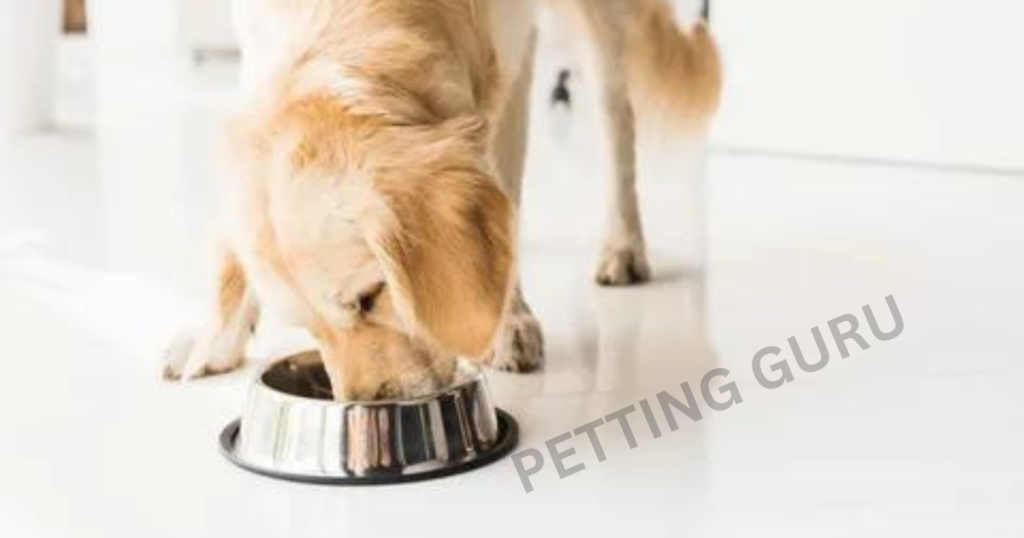 Is Canine Caviar a Good Dog Food? A Comprehensive Analysis and Review
