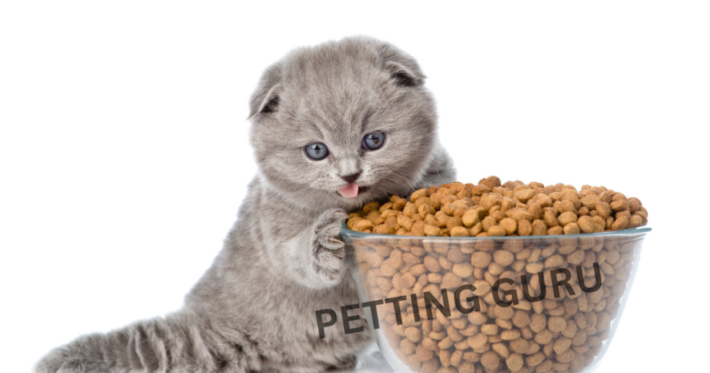 Merrick Wet Cat Food: A Nutrient-Rich Choice for Feline Wellness