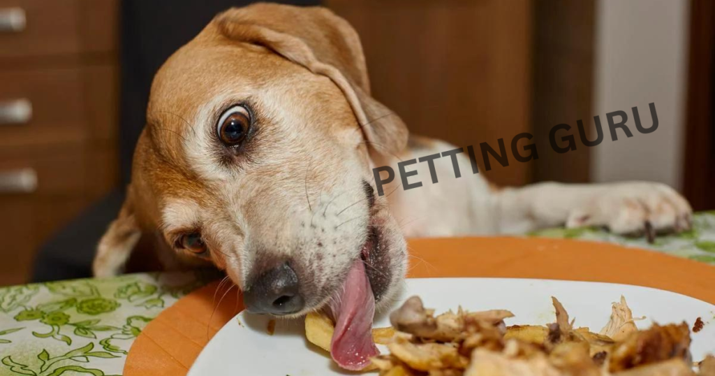 Caninex Dog Food